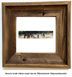 horse trail rides near me in Winchester, Massachusetts